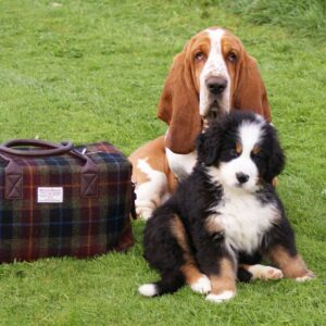 Harris Tweed 'Esk' Overnight Bag in MacLeod Tartan