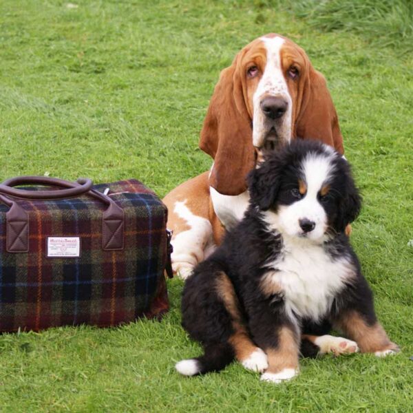 Harris Tweed 'Esk' Overnight Bag in MacLeod Tartan