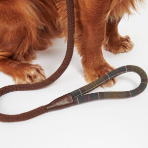 Barbour Tartan Hundeleine Trim