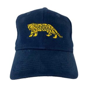 ARGENTINA RUGBY CAP, PUMAS