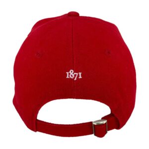 BRITISH AND IRISH LIONS RUGBY CAP