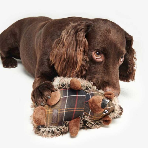 Barbour Hunde Spielzeug Dog Hedgehog