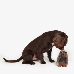 Barbour Hunde Spielzeug Dog Hedgehog