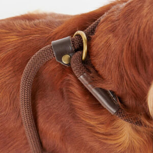 Barbour Tartan Hundeleine Trim